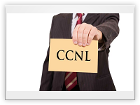 CCNL DIPENDENTI DEGLI STUDI PROFESSIONALI TRIBUTARISTI REVISORI LEGALI E DELLE SOCIETA’ DI REVISIONE

IN ALLEGATO IL TESTO E LA SINTESI RELATIVA AI PRINCIPI GENERALI DEL RINNOVO DEL CCNL